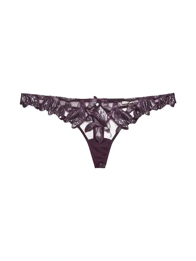 Women's Lily Embroidered Hipster Thong - Aubergine