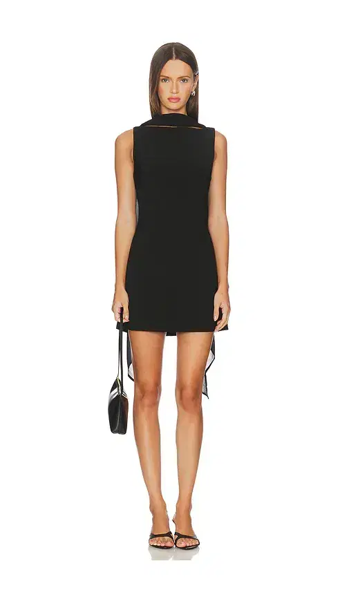 x REVOLVE Cameron Mini Dress