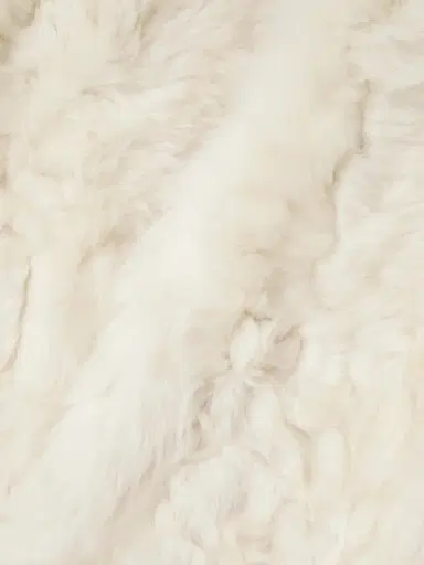 Yves Salomon Shearling Coat | Thumbnail 5
