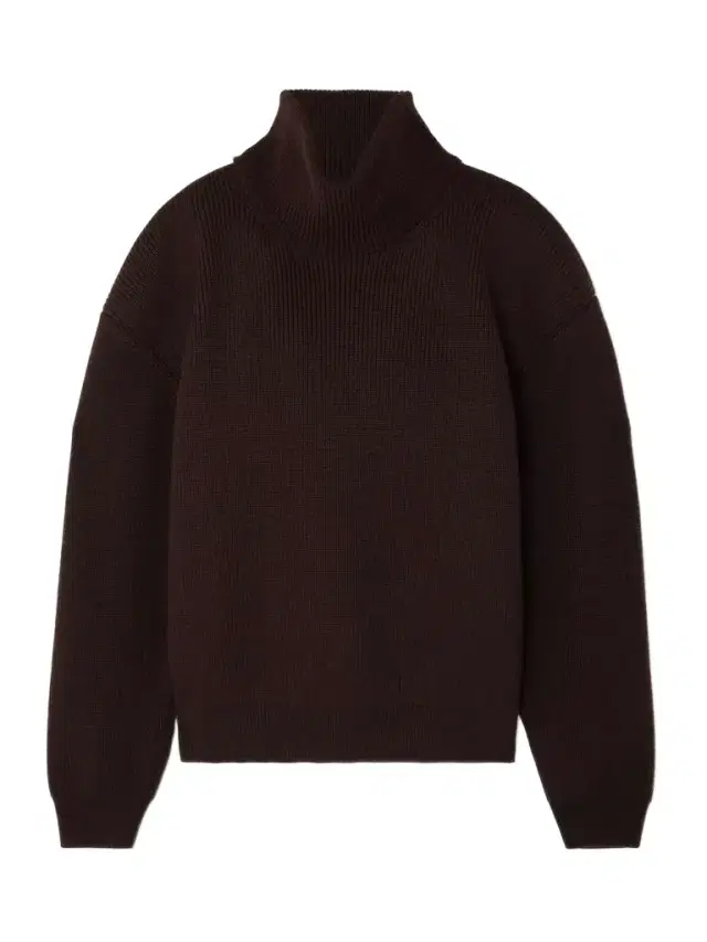 Ribbed Wool Turtleneck Sweater