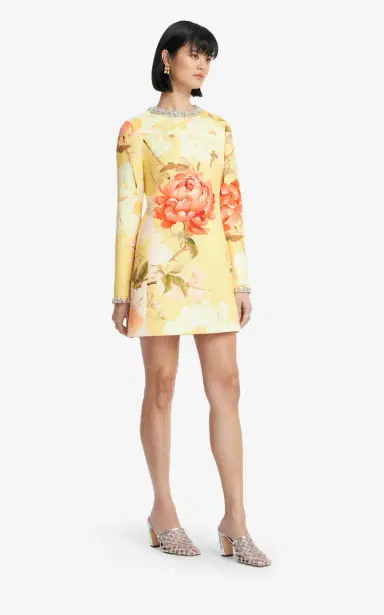 Leo Lin Aliza Embellished Mini Dress | Thumbnail 4