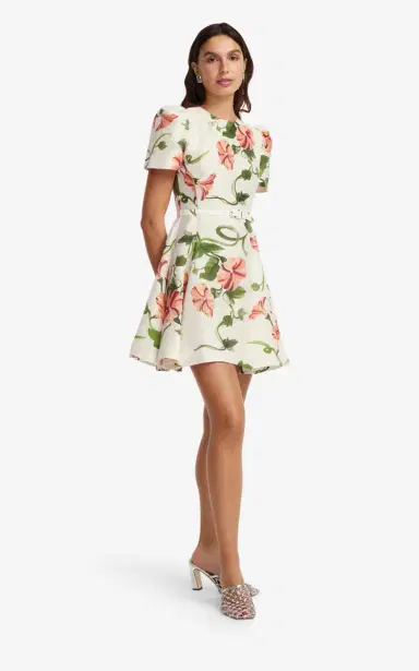 Leo Lin Elyse Printed Linen-Blend Mini Dress | Thumbnail 4