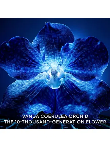 Guerlain Women's Orchidée Impériale The Longevity Cream - Size Refill | Thumbnail 6