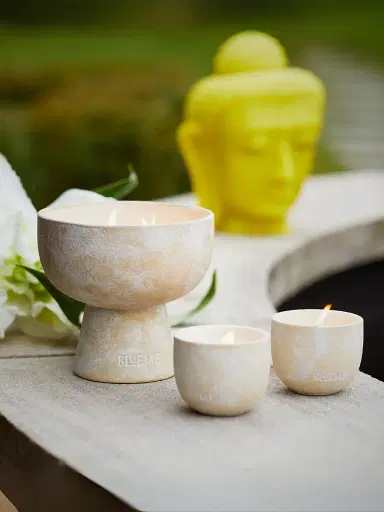 Blueme Spiritual Palo Santo & Vetiver Reed Diffuser | Thumbnail 4 Blueme Spiritual Palo Santo & Vetiver Reed Diffuser | Thumbnail 4