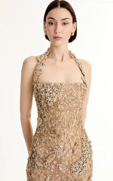 Oscar de la Renta Crystal-Embroidered Maxi Dress | Thumbnail 6