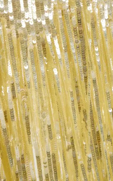 Oscar de la Renta Sequined Fringed Gown | Thumbnail 17
