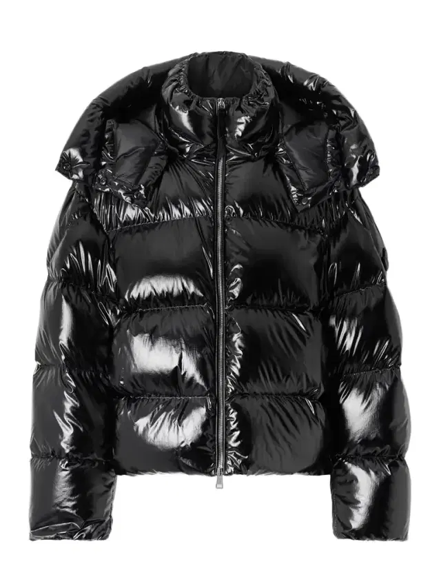 Moncler Genius Lothar Hooded Quilted Shell Down Jacket