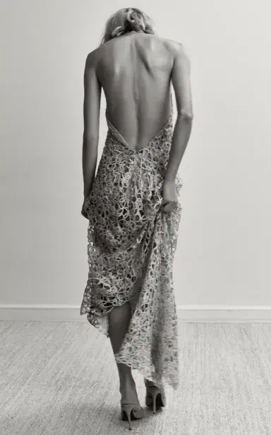 Francesca Miranda Rose Chain Embroidered Silk Blend Dress | Thumbnail 8