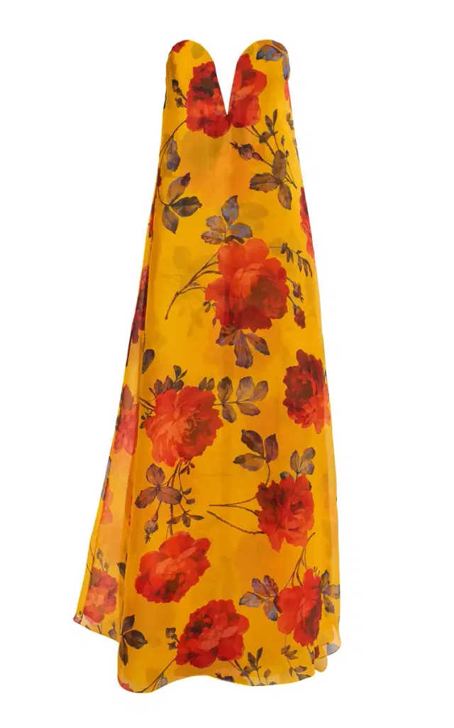 Rose-Printed Silk-Crepe Gown
