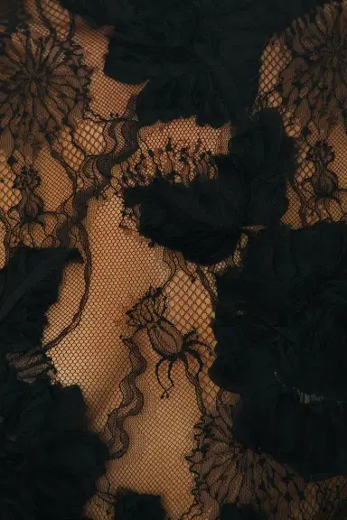 Aknvas Jette Lace Dress And Bubble Skirt | Thumbnail 4