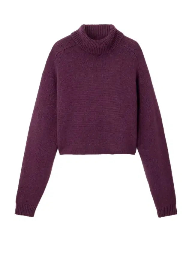 Cathie Cropped Cashmere Turtleneck Sweater