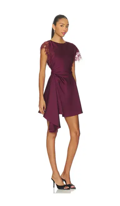 AMUR Zina Ruched Mini Dress | Thumbnail 2