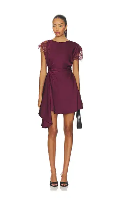 AMUR Zina Ruched Mini Dress | Thumbnail 1