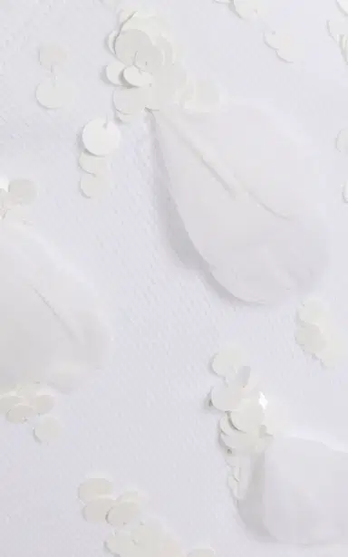Proenza Schouler Tana Embroidered Cotton Top | Thumbnail 4