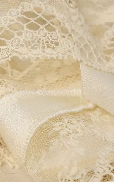 COLLEEN ALLEN Silk and Lace Bra | Thumbnail 6