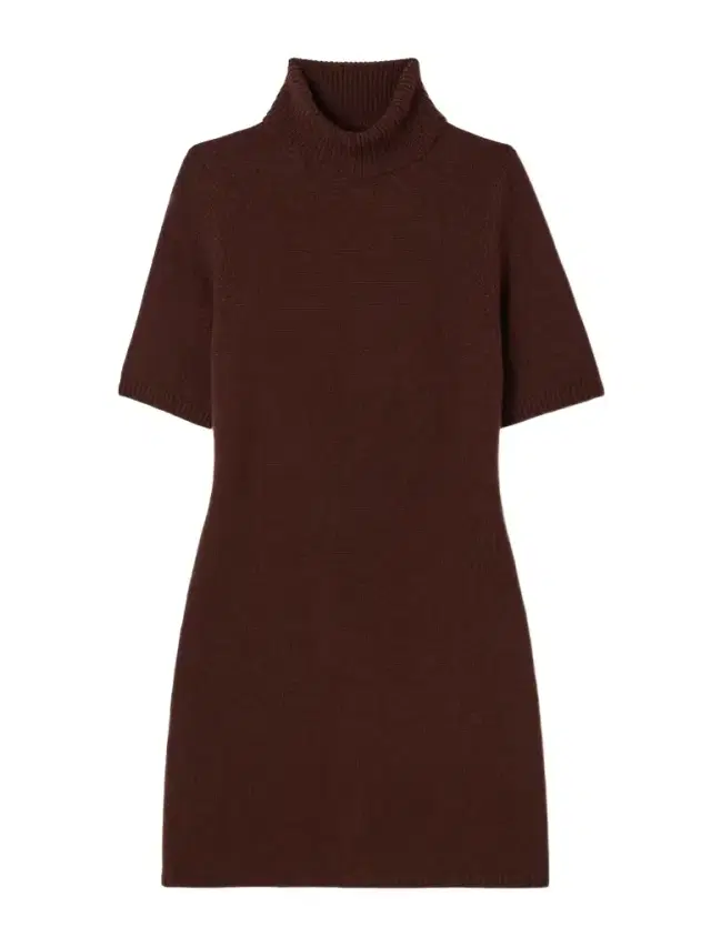 Agathe Cashmere Turtleneck Mini Dress