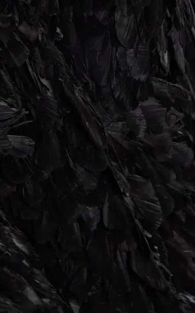 Atelier Prabal Gurung Hand-Feathered Corset Tank Top | Thumbnail 4