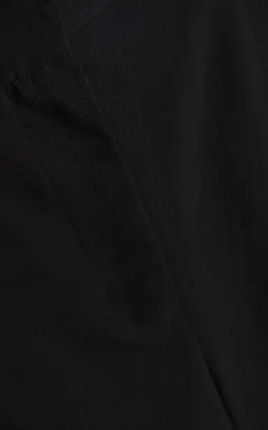 Ashlyn Fuyu Tailored Wool Pants - Black | Thumbnail 4