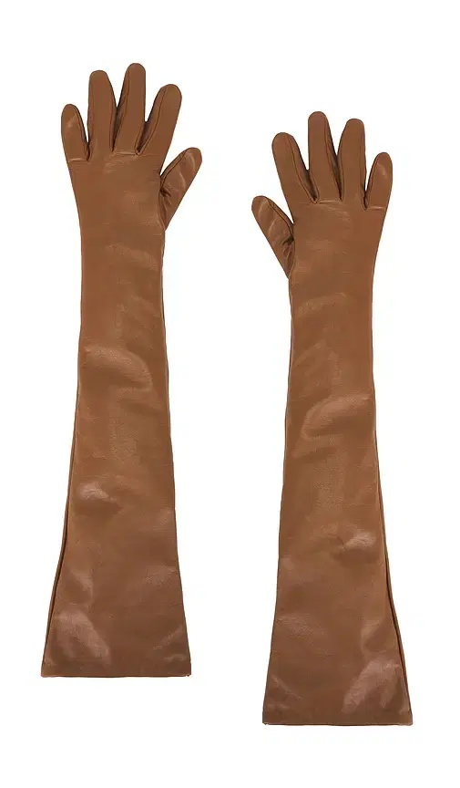 Tg Gloves