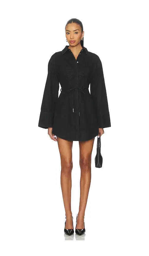 AMUR Clea Denim Day Dress