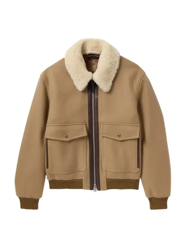 Shearling and Leather-Trimmed Virgin Wool Aviator Jacket - Men