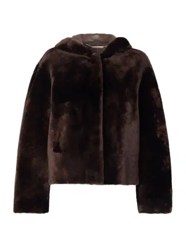 Nour Hammour Cooper Hooded Shearling Jacket | Thumbnail 1