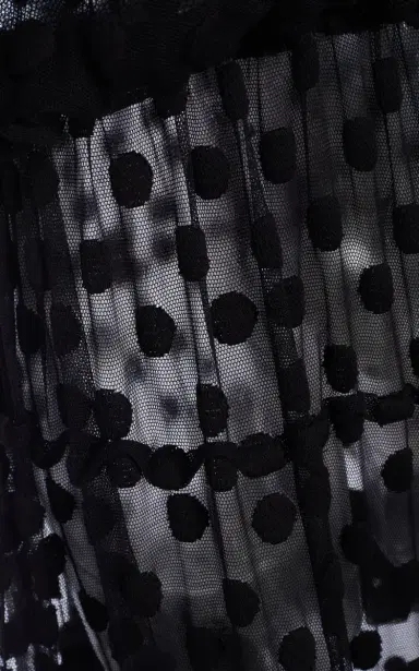 Dries Van Noten Dally Polka-Dot Mesh Midi Dress | Thumbnail 4