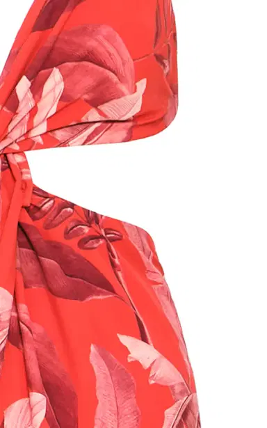 ANDRES OTALORA La Sierpe Cutout Printed Crepe Maxi Dress | Thumbnail 4