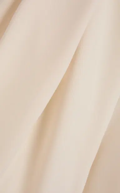 Lanvin Pleated Shorts | Thumbnail 4