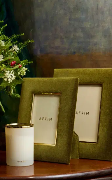 Aerin Valentina Velvet Frame - 5 X 7 - Moss - Green | Thumbnail 4