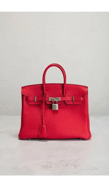 HERMÈS Togo Birkin 25 Handbag | Thumbnail 2