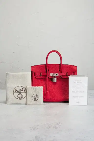 HERMÈS Togo Birkin 25 Handbag | Thumbnail 11