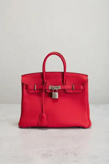 HERMÈS Togo Birkin 25 Handbag | Thumbnail 4