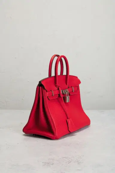 HERMÈS Togo Birkin 25 Handbag | Thumbnail 6