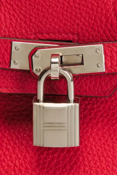 HERMÈS Togo Birkin 25 Handbag | Thumbnail 7