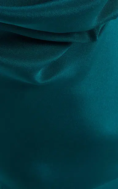 Rodarte Velvet-Trimmed Silk Crepe Cowl-Neck Maxi Dress | Thumbnail 5