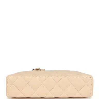 Chanel Chanel Top Handle Long Vanity Case with Chain Light Beige Shiny Caviar Light Gold Hardware | Thumbnail 8