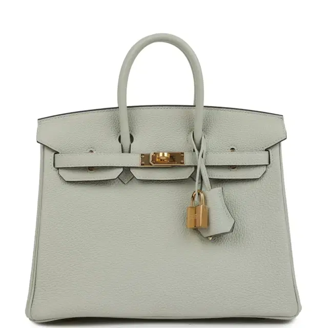 hermes Hermes Birkin 25 Gris Neve Togo Gold Hardware