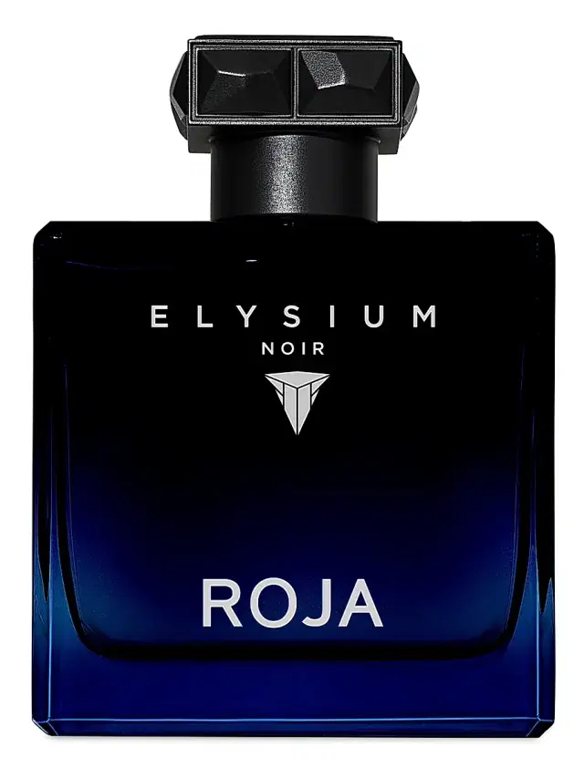 Roja Parfums Elysium Noir Pour Homme Eau De Parfum 3.4 oz