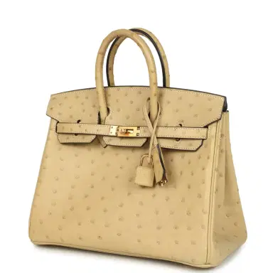HERMÈS Hermes Birkin 25 Trench Ostrich Gold Hardware | Thumbnail 5 HERMÈS Hermes Birkin 25 Trench Ostrich Gold Hardware | Thumbnail 5