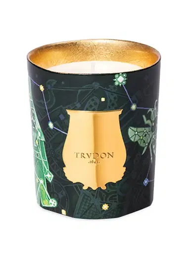 Trudon Classique Fir Scented Candle | Thumbnail 1