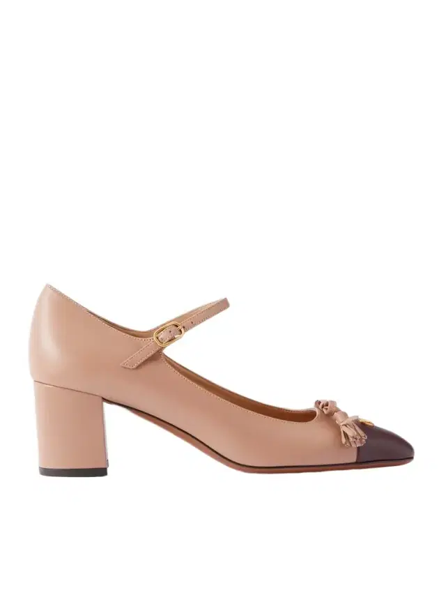 Valet Du Roi 60 Tasseled Bow-embellished Two-tone Leather Pumps
