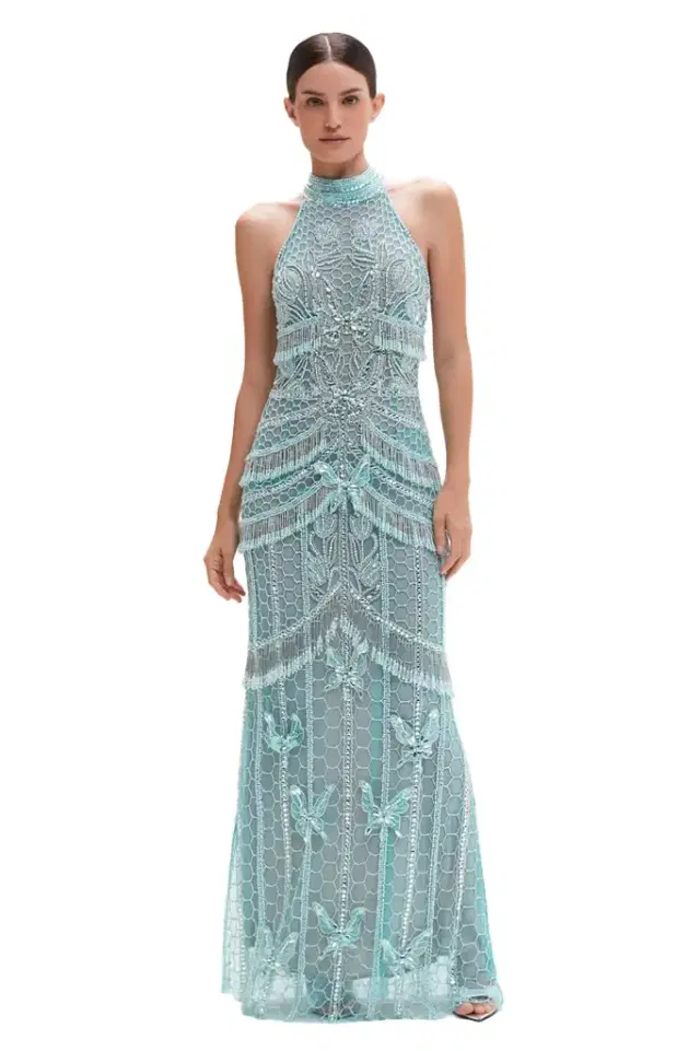 BUTTERFLY EMBROIDERY MAXI DRESS