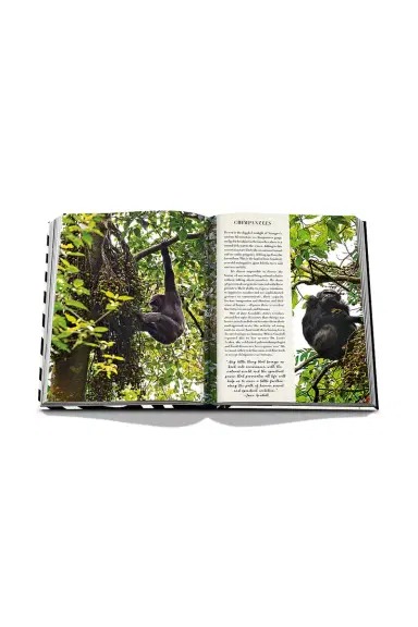 Assouline African Adventures: The Greatest Safari On Earth | Thumbnail 11