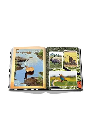 Assouline African Adventures: The Greatest Safari On Earth | Thumbnail 7
