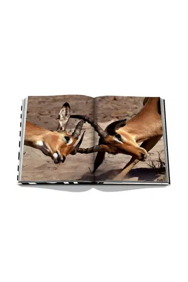 Assouline African Adventures: The Greatest Safari On Earth | Thumbnail 8