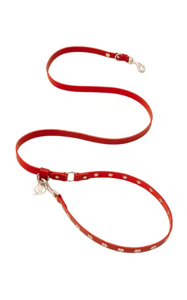 Little Beast Flower Power Dog Leash | Thumbnail 1 Little Beast Flower Power Dog Leash | Thumbnail 1
