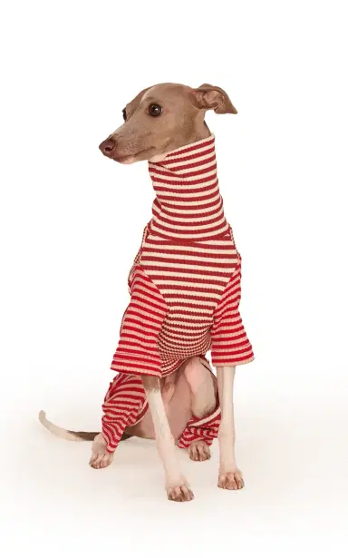 Little Beast Stretch-Cotton Dog Onesie - Stripe | Thumbnail 2