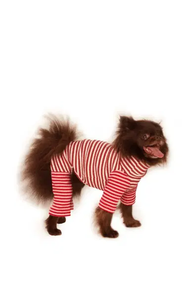 Little Beast Stretch-Cotton Dog Onesie - Stripe | Thumbnail 3