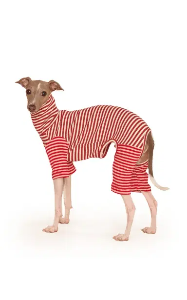 Little Beast Stretch-Cotton Dog Onesie - Stripe | Thumbnail 1